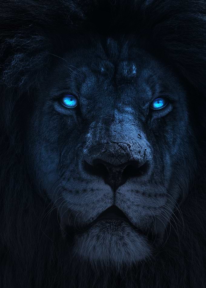 Dark Lion