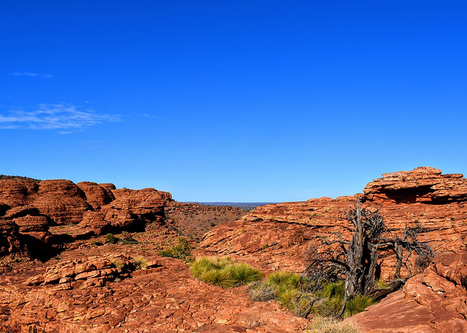 Kings canyon