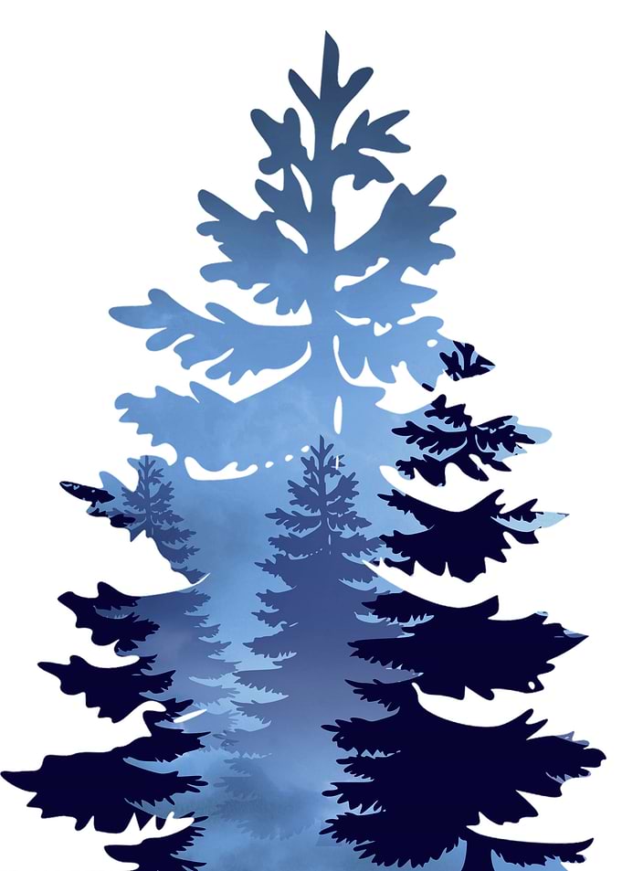 Double Exposure Pine Tree