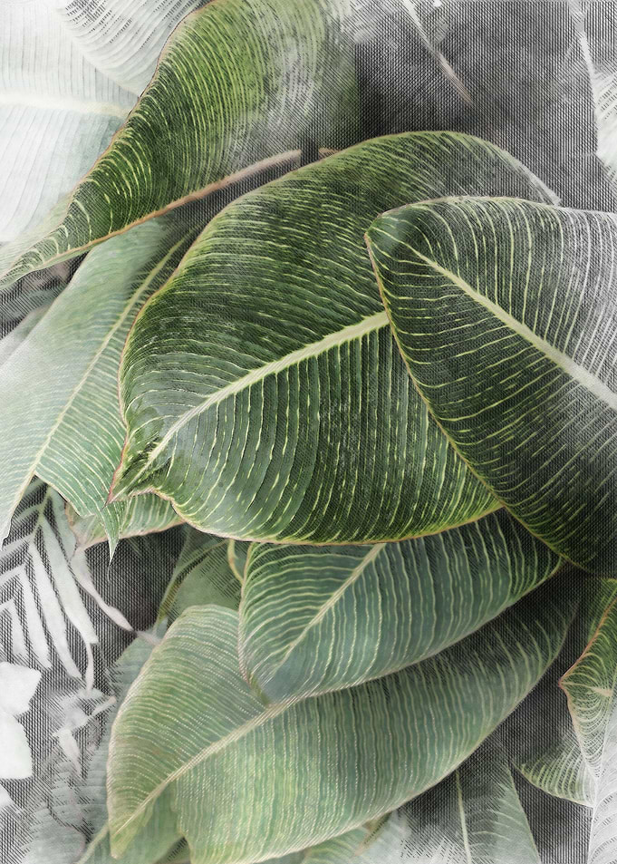 Watercolour Plant