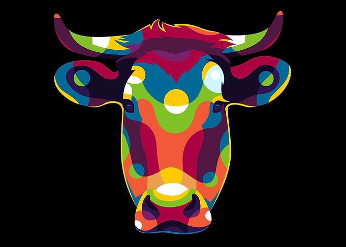 The Cow Portrait