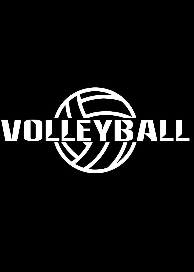 Volleyball Volleyballer