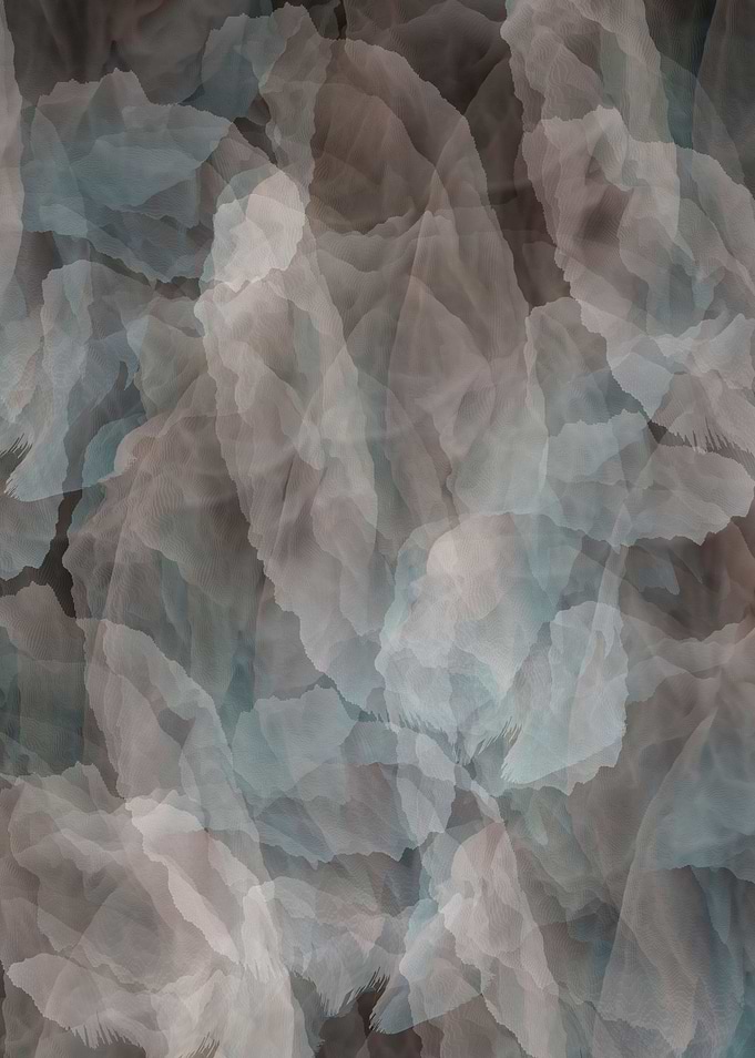 Transparent veil