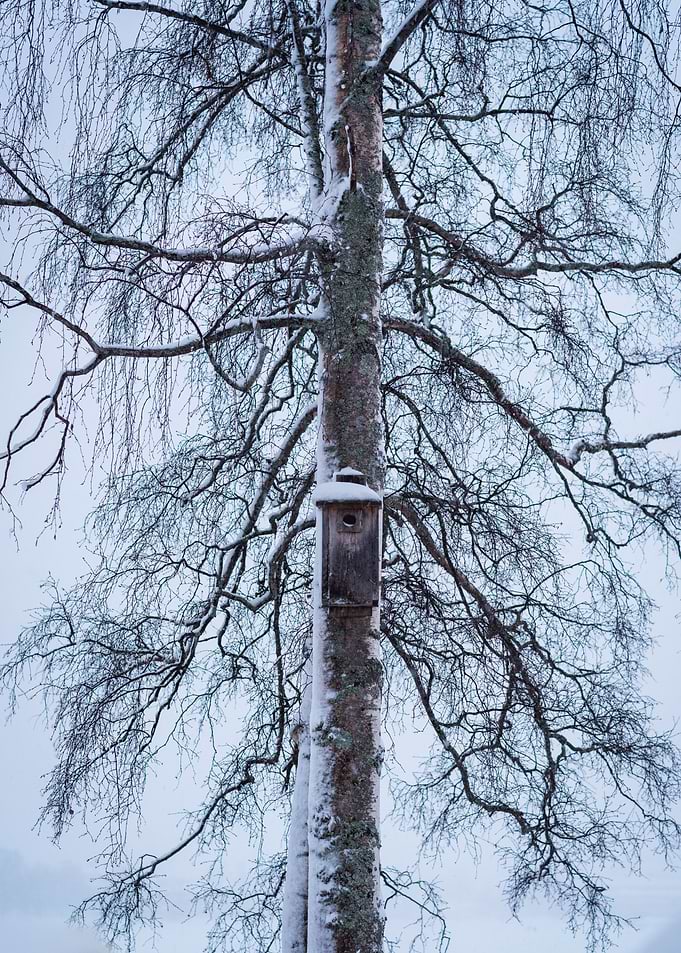 Snowy Birdhouse