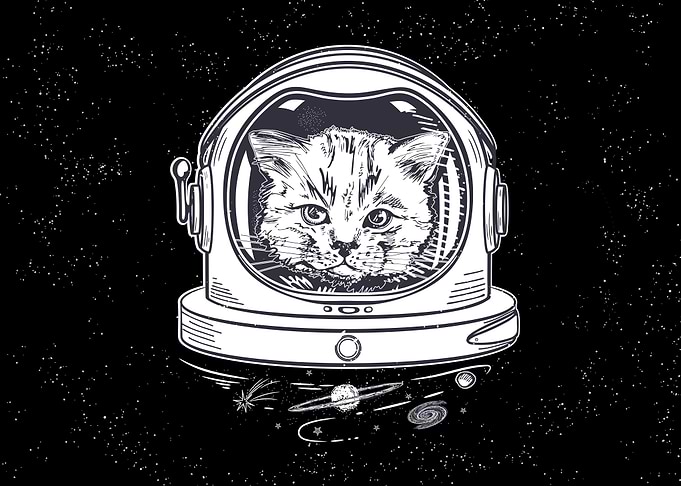 Cat Star