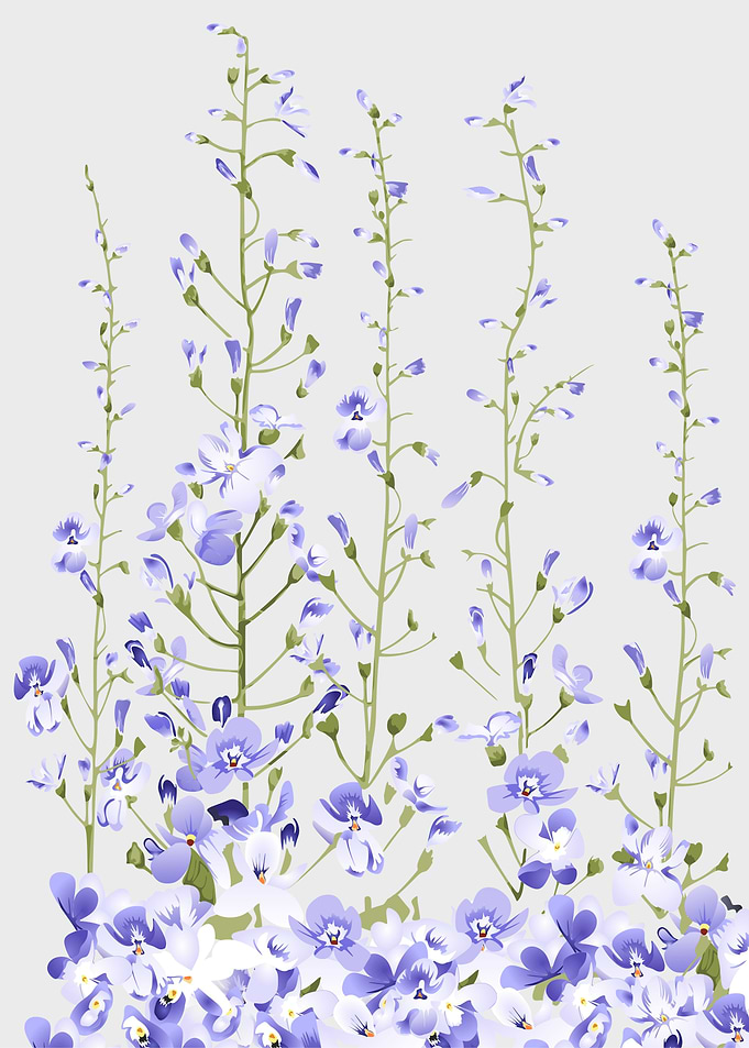 Delicate wild flowers