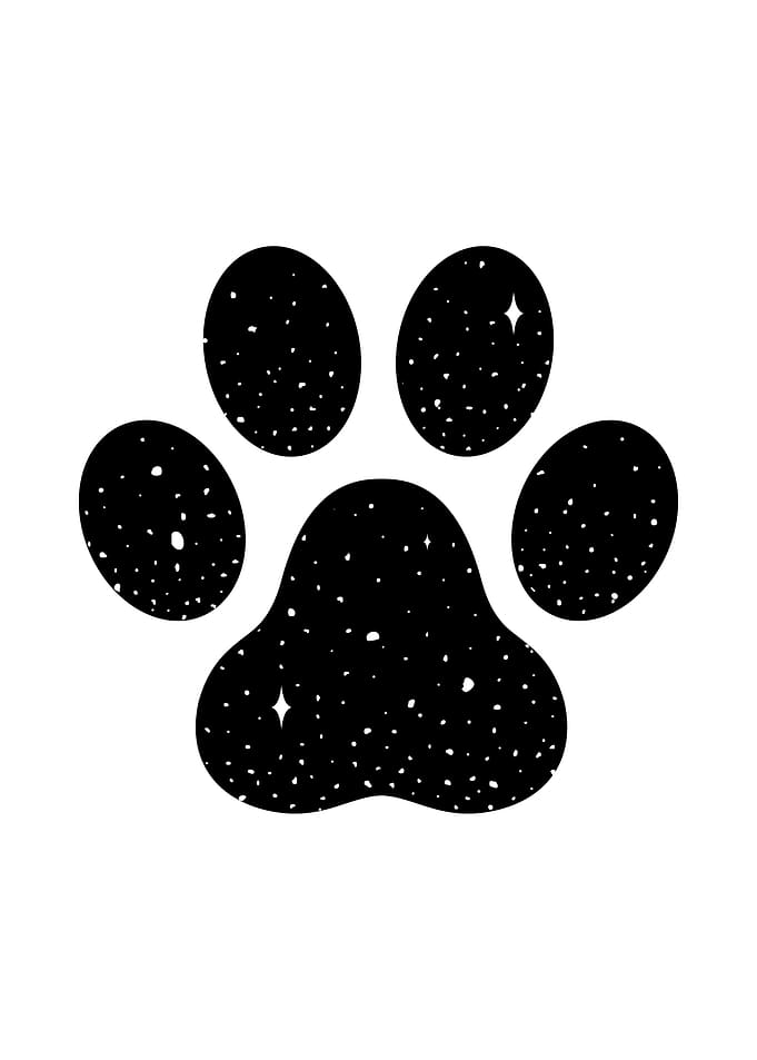 Cat Star