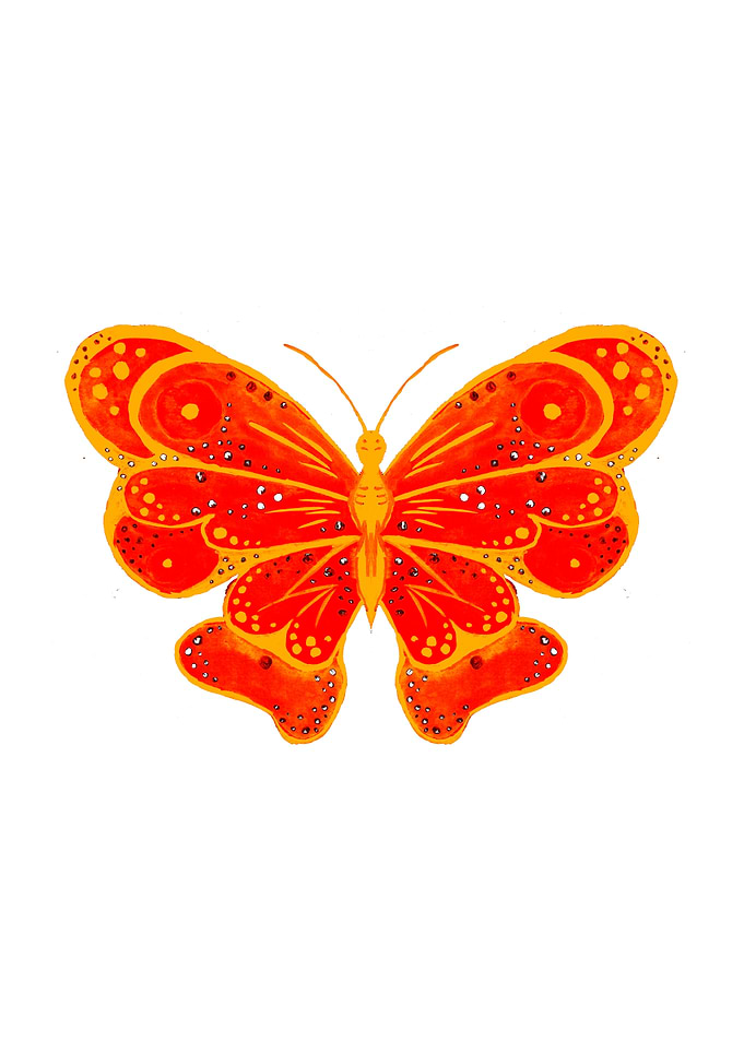 Orange Butterfly