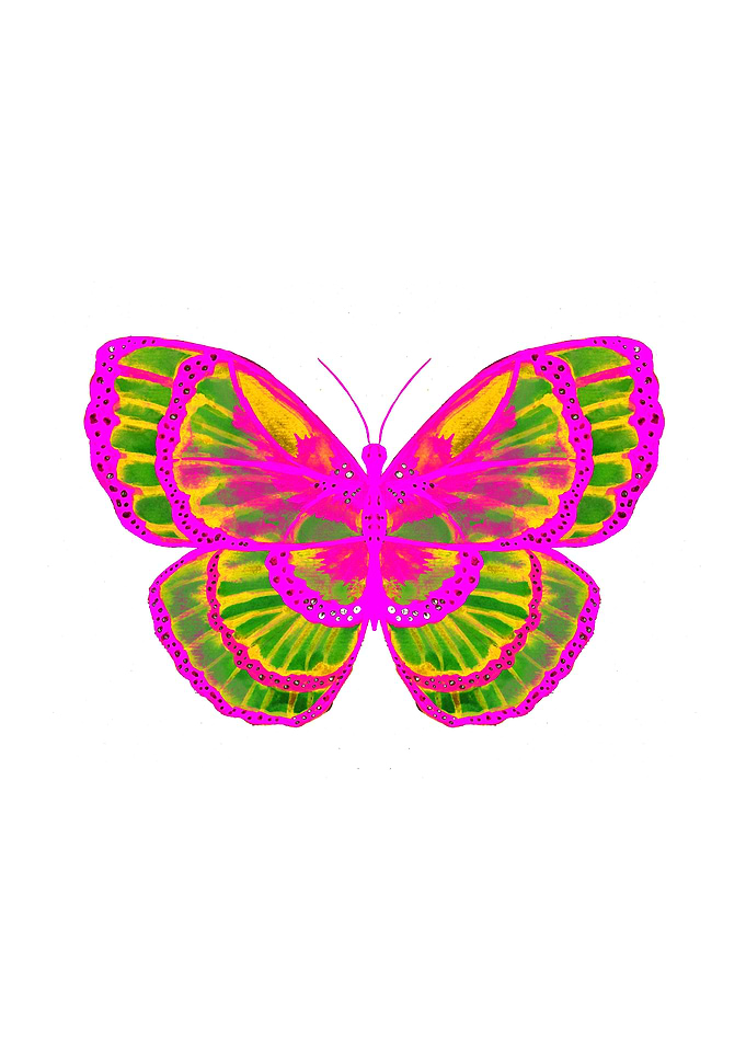 Pink and Green Butterfly