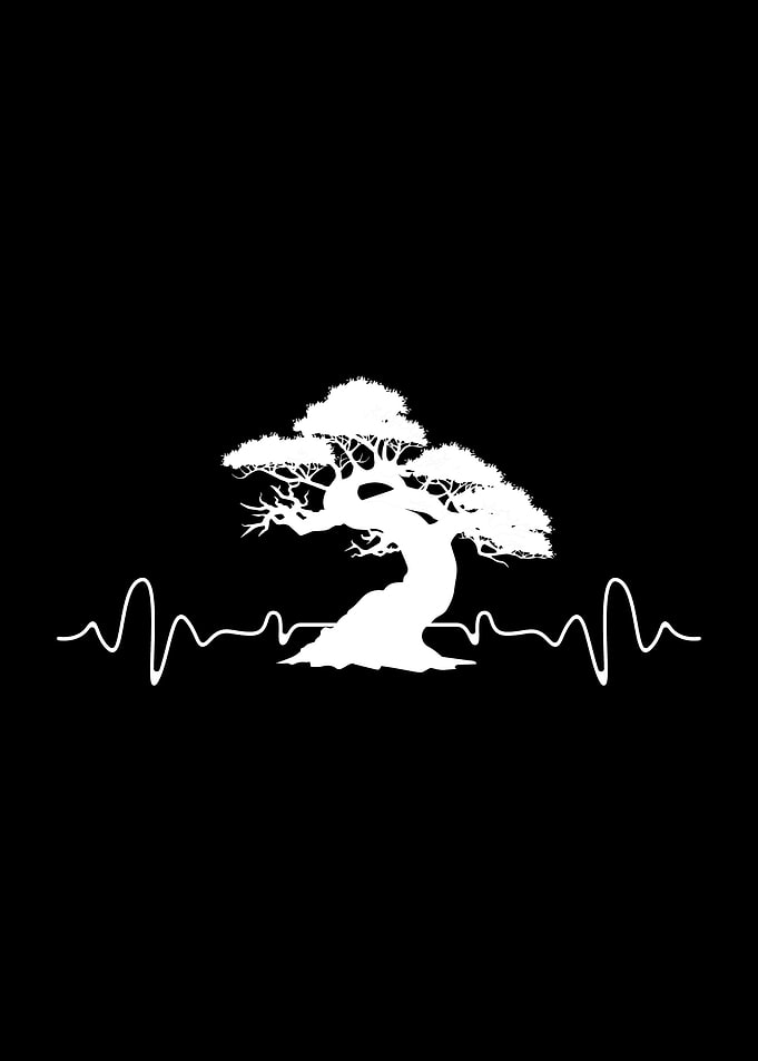 Bonsai Garden