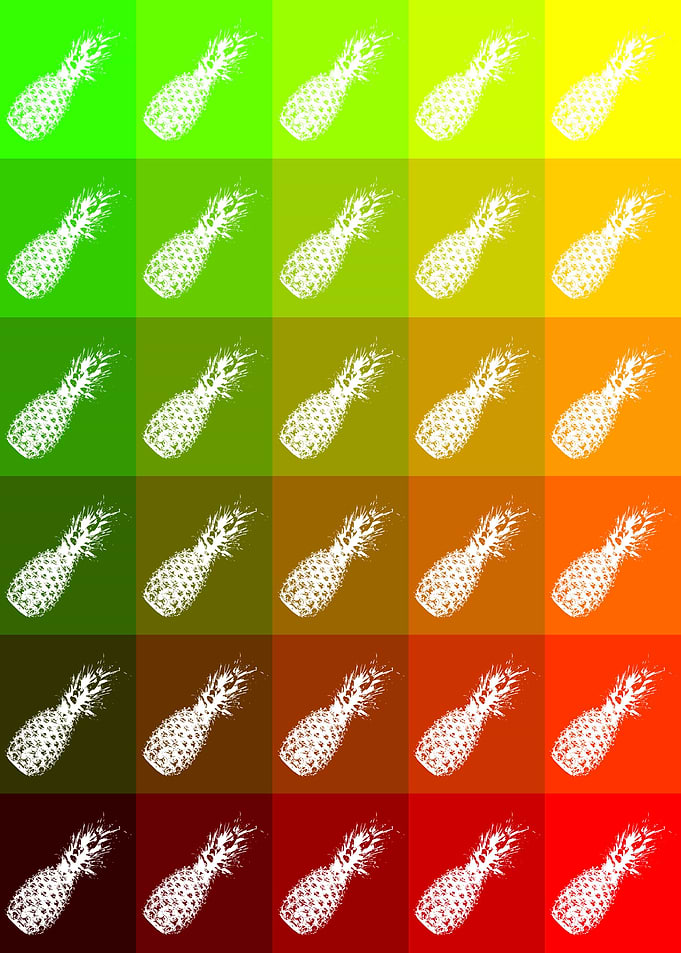 Ananas Pop Art