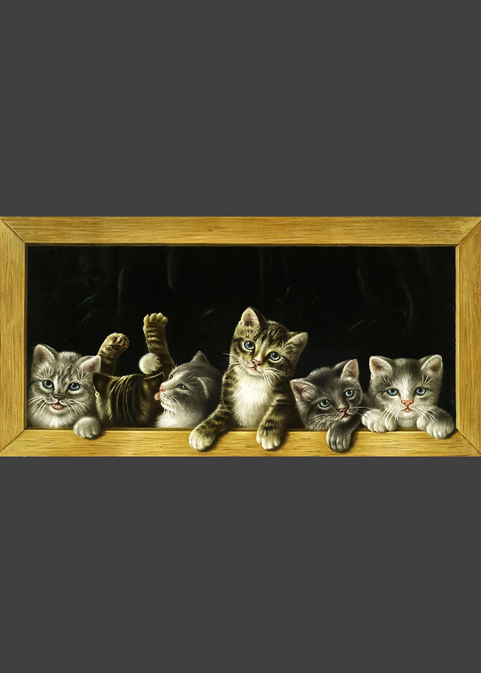 cats