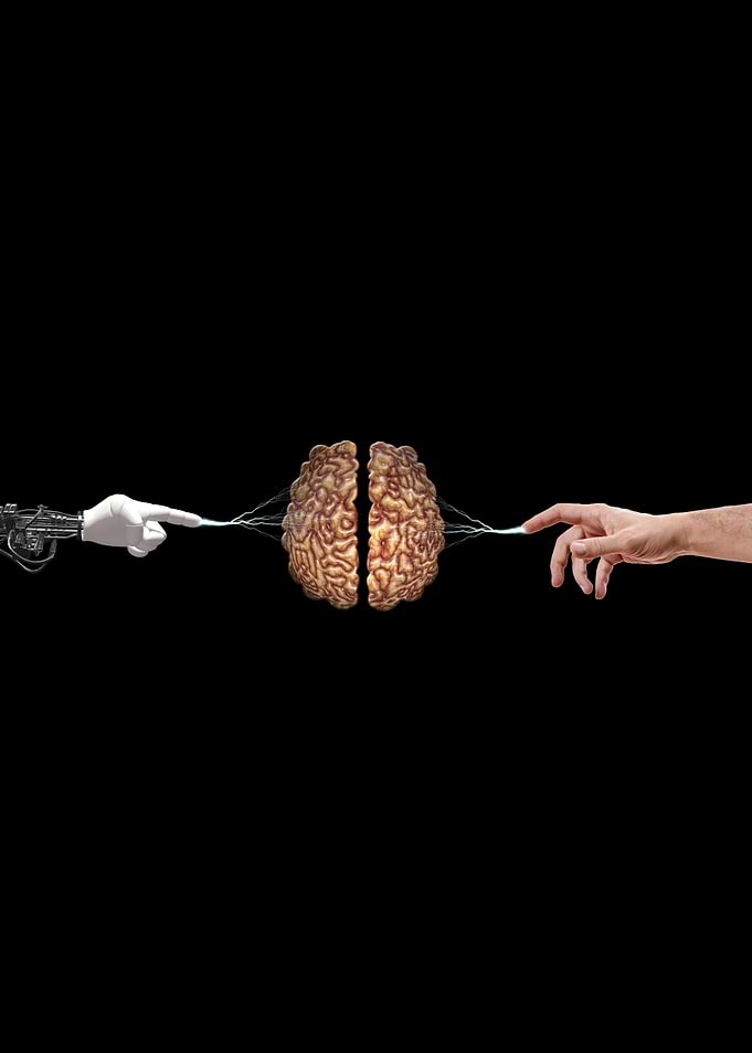 Brain