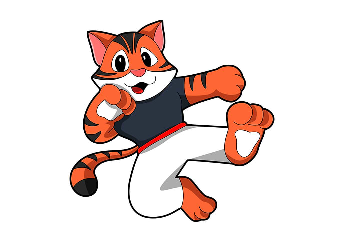Tiger Martial arts Karate