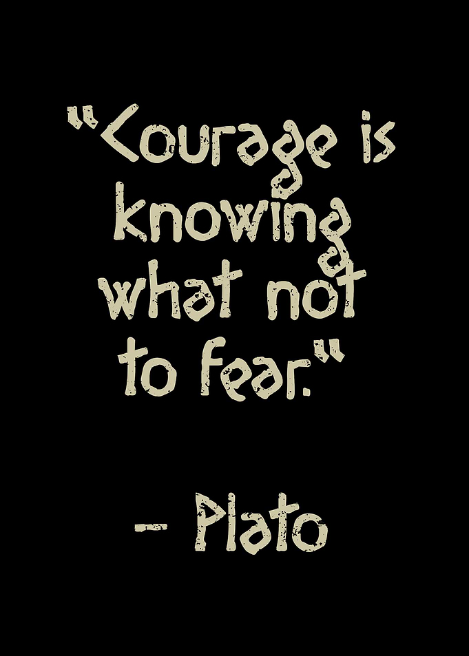 Plato quote Courage is