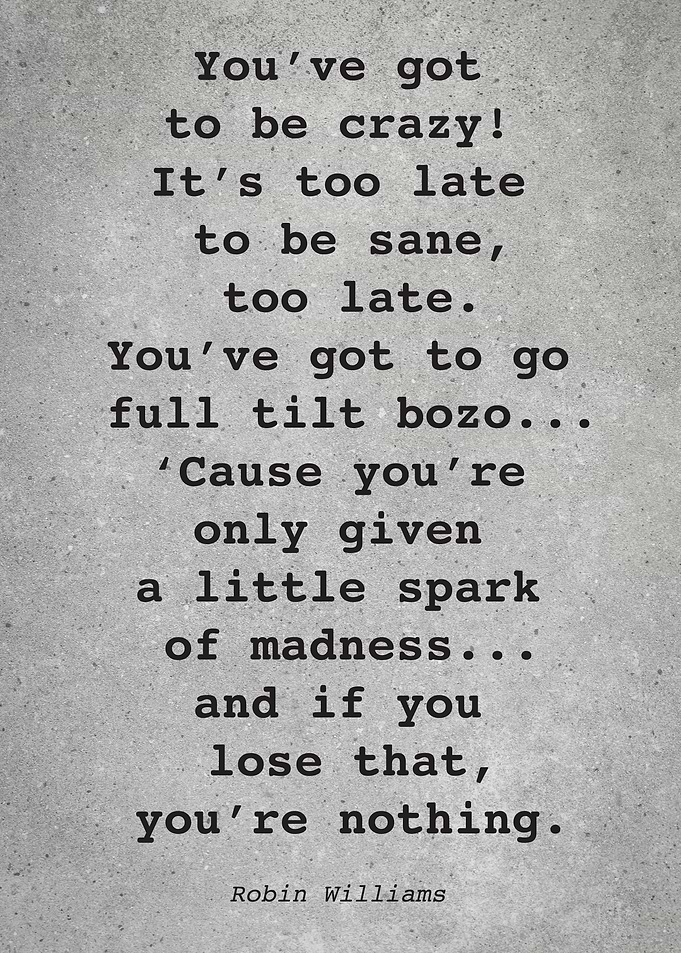 Robin Williams Quote L028