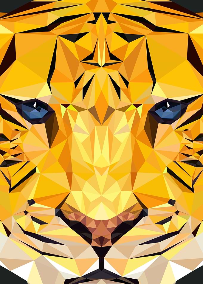 Geometrical Tiger
