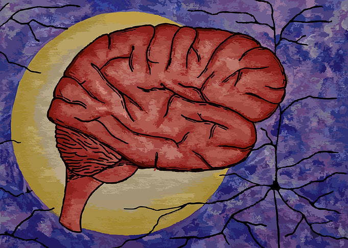 Hallowed Brain
