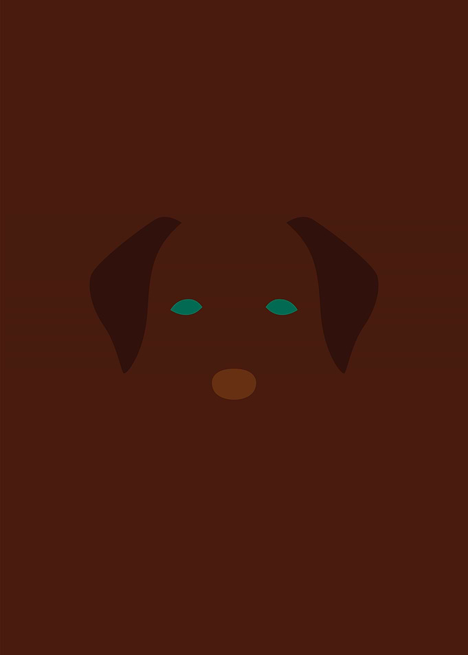 Labrador Chocolate