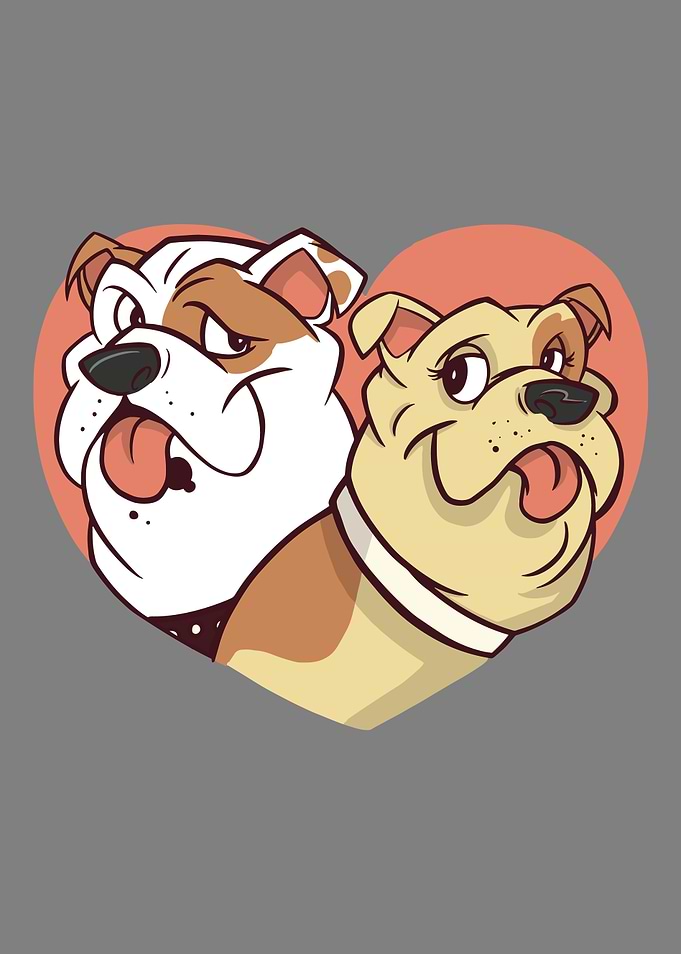 BULLDOG HEART