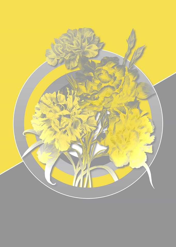 Carnation Yellow and Gray