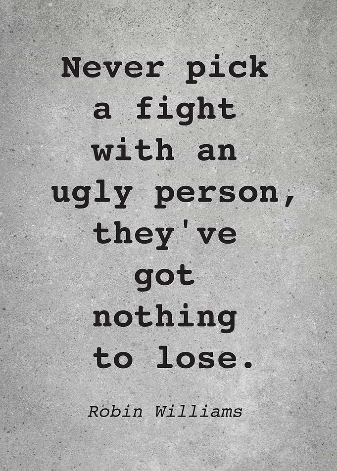 Robin Williams Quote L027