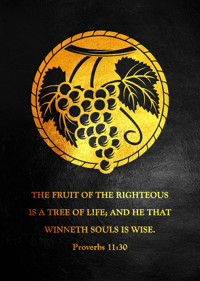Proverbs 11 30
