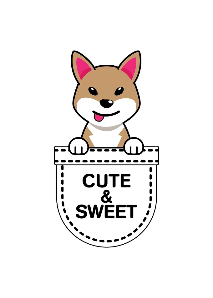 Cute and Sweet Dog Pocket