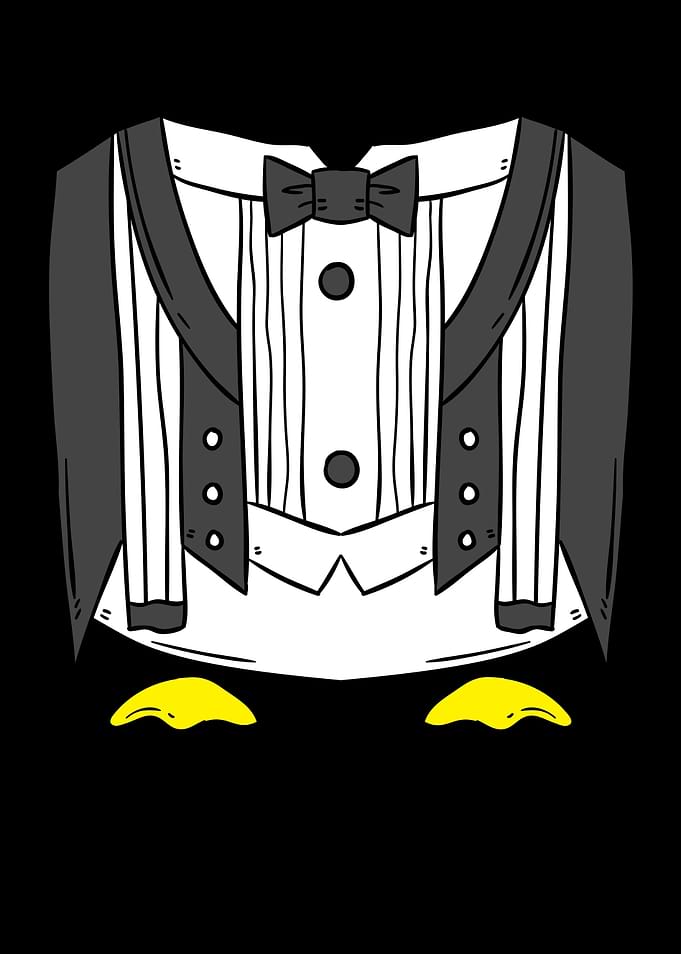 Penguin Costume