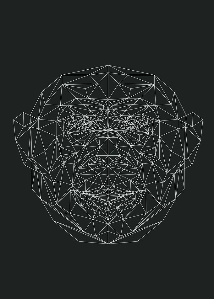 Geometrical Monkey