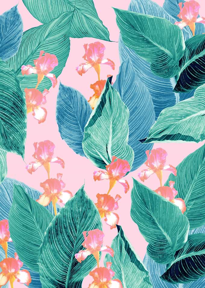 Iris Jungle Dream 2