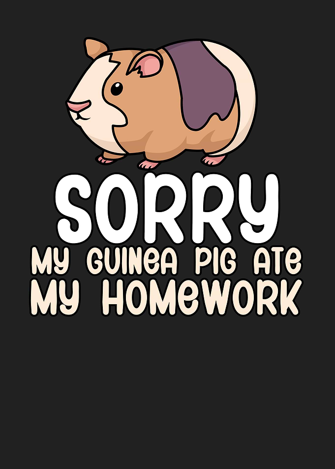 Guinea pig homework kids