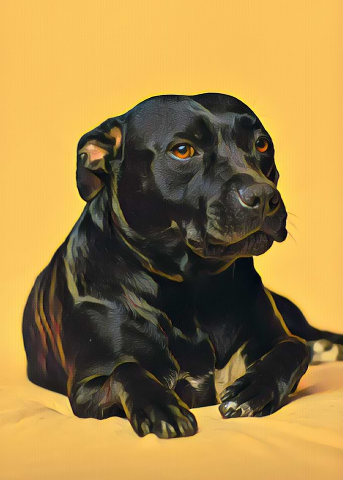 Majestic Dog on Yellow