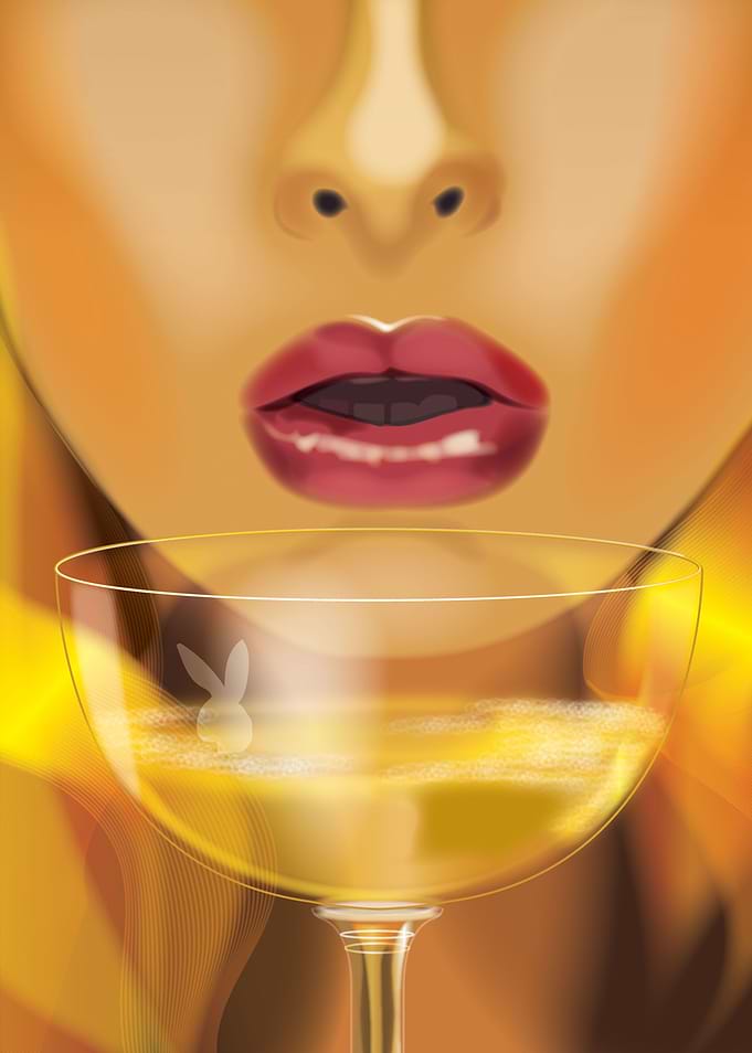 Playboy Tribute 1 of 4