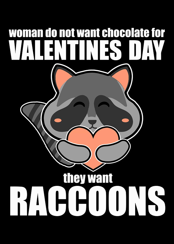 Valentines Day Raccoon