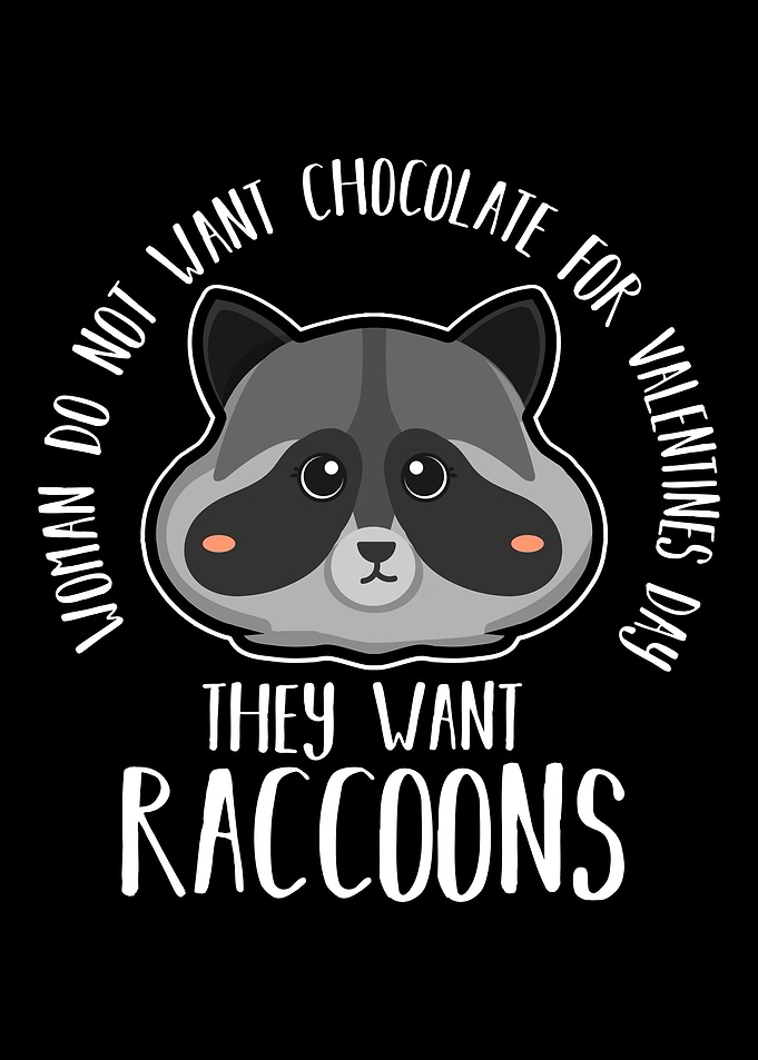 Valentines Day Raccoon