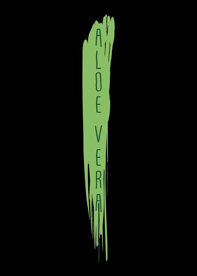Aloe Vera Garden Plant Flo