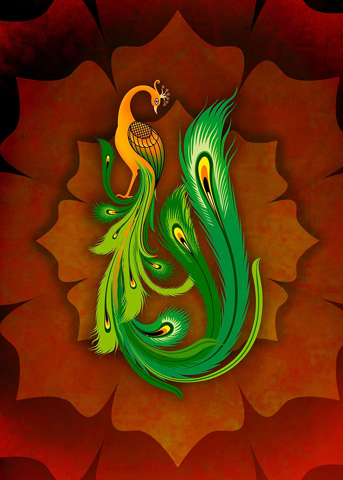 Enchanting Peacock V1