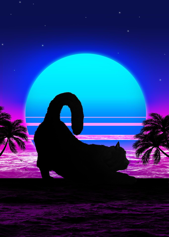 black cats retro