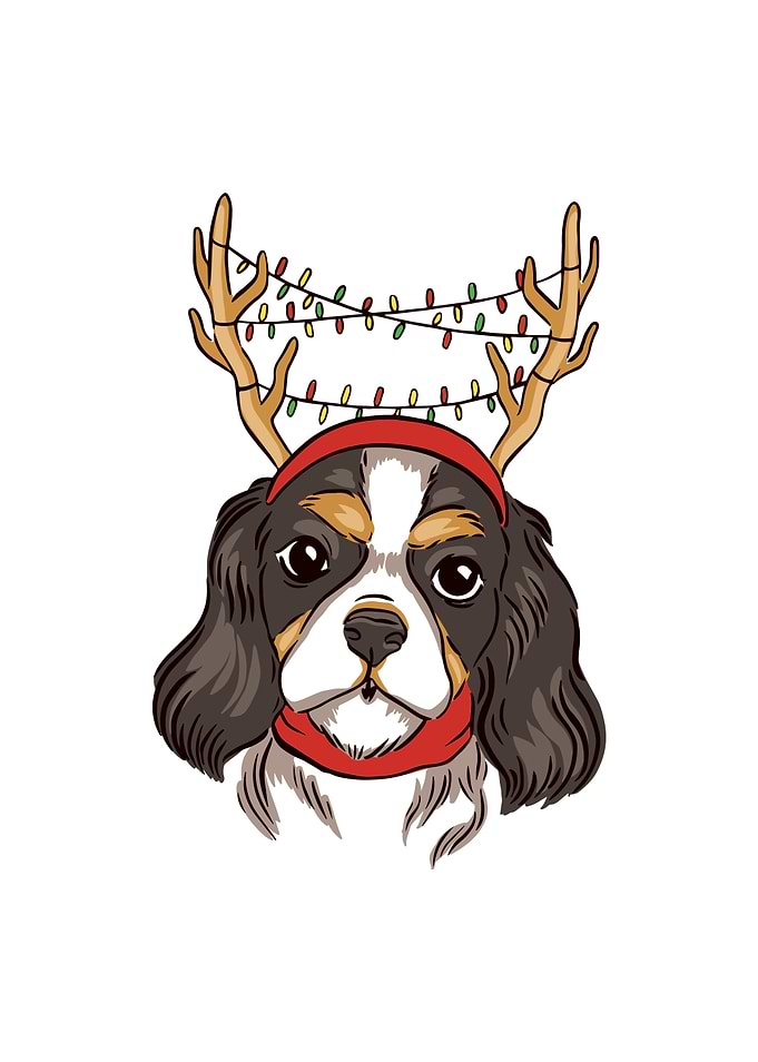 Reindeer Dog Xmas Gift