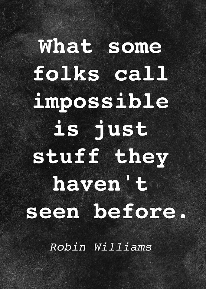 Robin Williams Quote D013