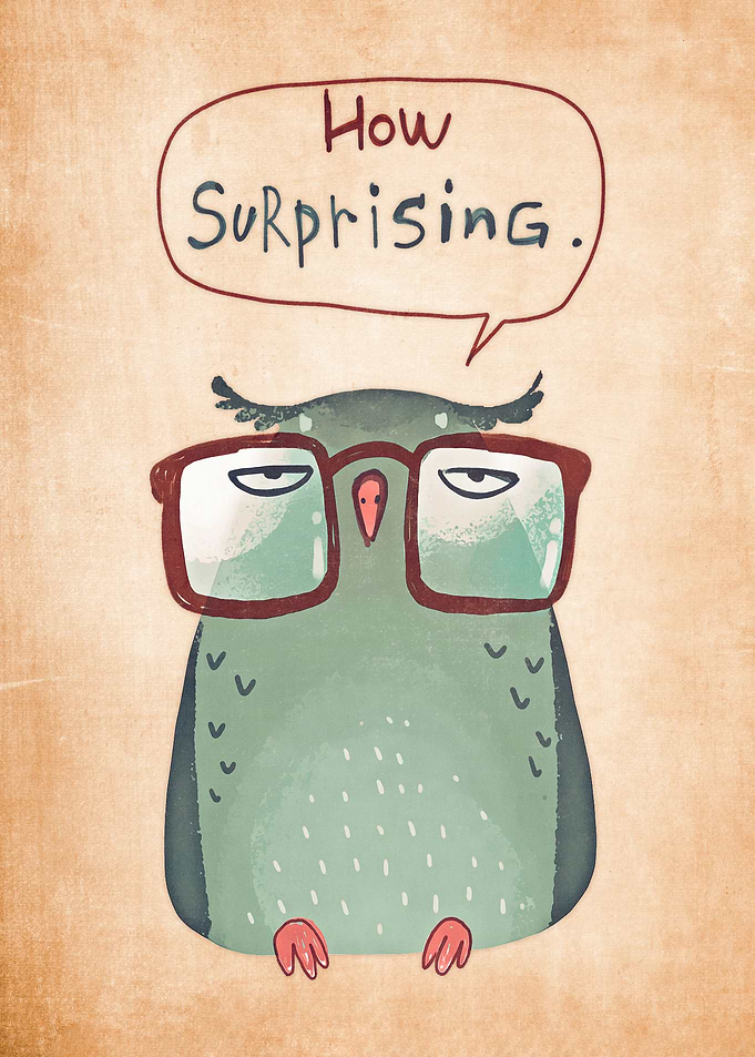 owl cute animal