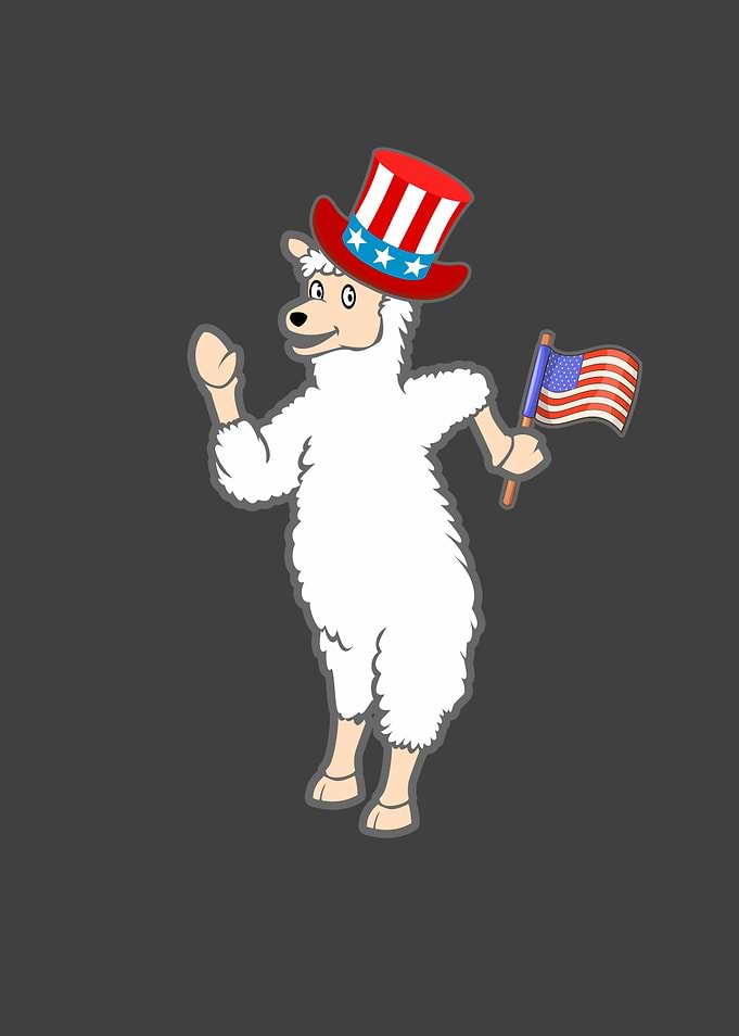 Patriotic Llama with hat
