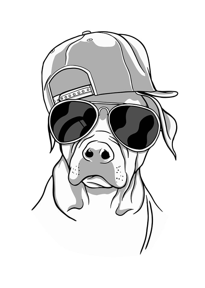 Cute Dog Sunglasses Gift