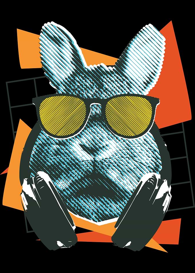 Rabbit Bunny Animal Sungla