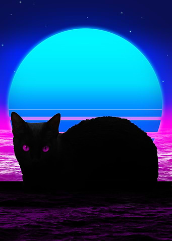 black cat
