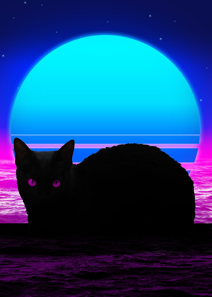 black cat