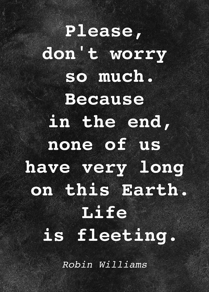 Robin Williams Quote D018