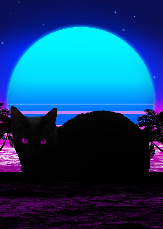 black cats retro