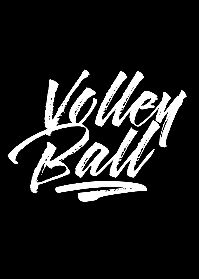 Volleyball